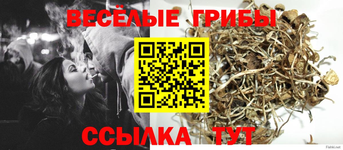 Галлюциногенные грибы MAGIC MUSHROOMS Шатура
