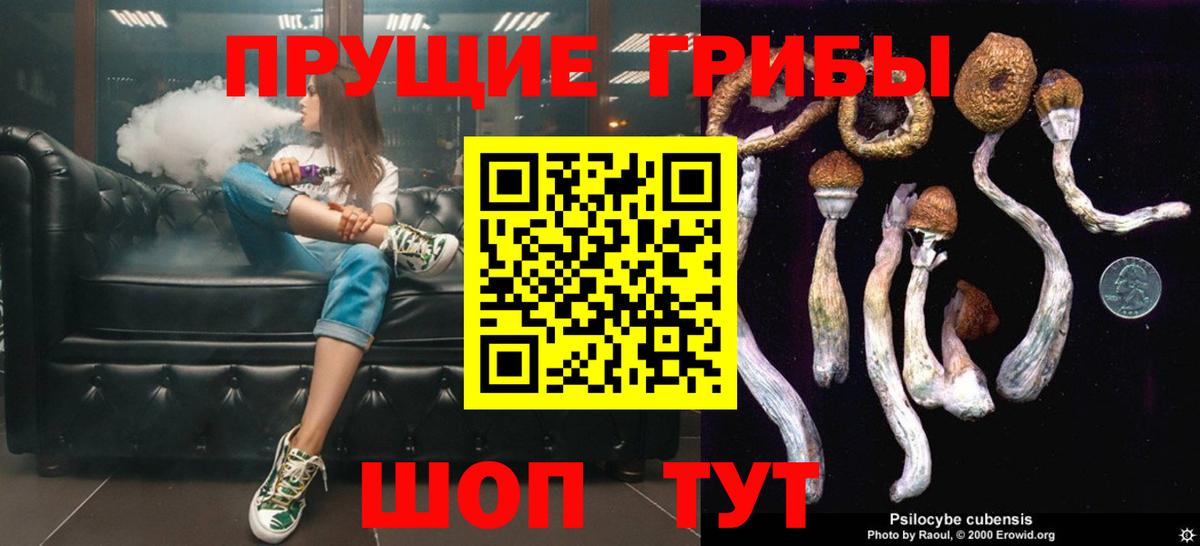 Шатура  Галлюциногенные грибы Cubensis  Псилоцибиновые грибы мицелий  Вход с VPN 